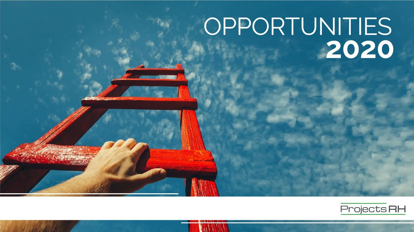 Opportunities for ProjectsRH in 2020