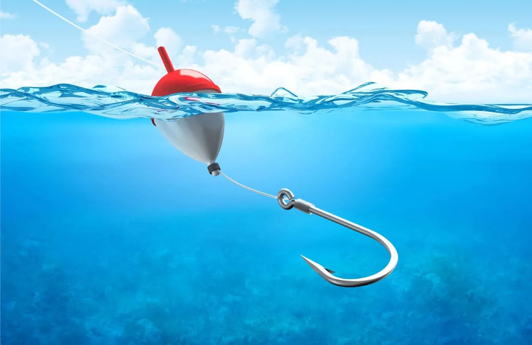 The Art of Fishing the Right Investor