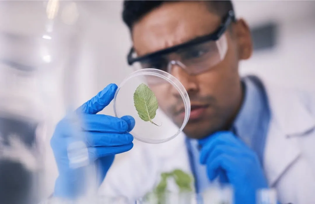 Biotech and Medtech: The Promise of Tomorrow
