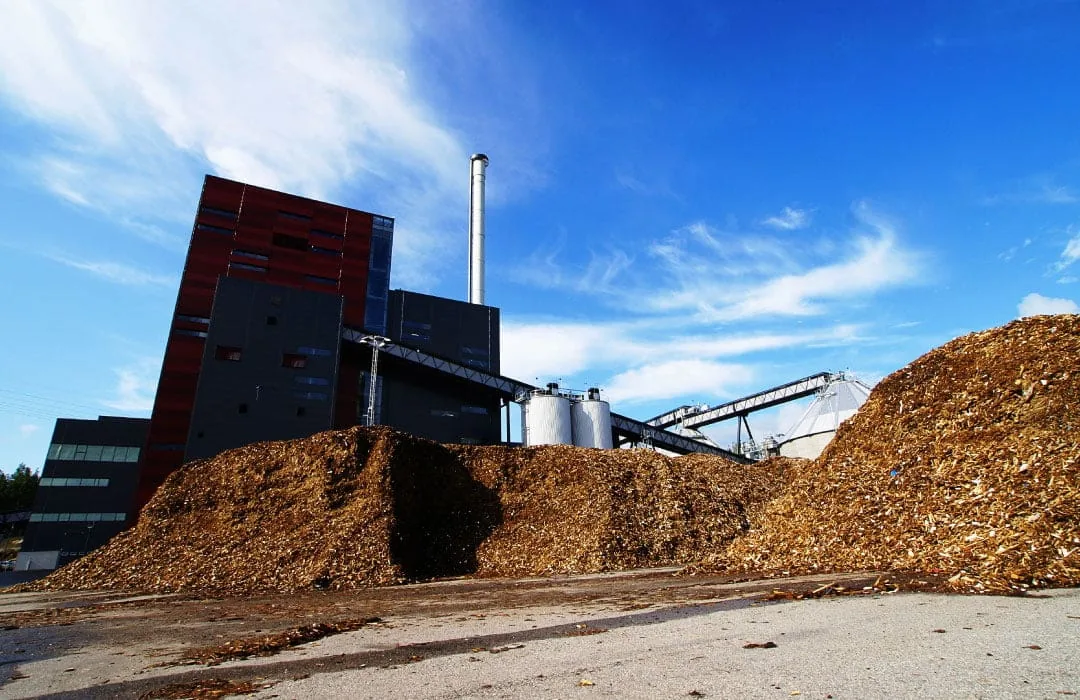 Why Biomass is crucial to Green Energy