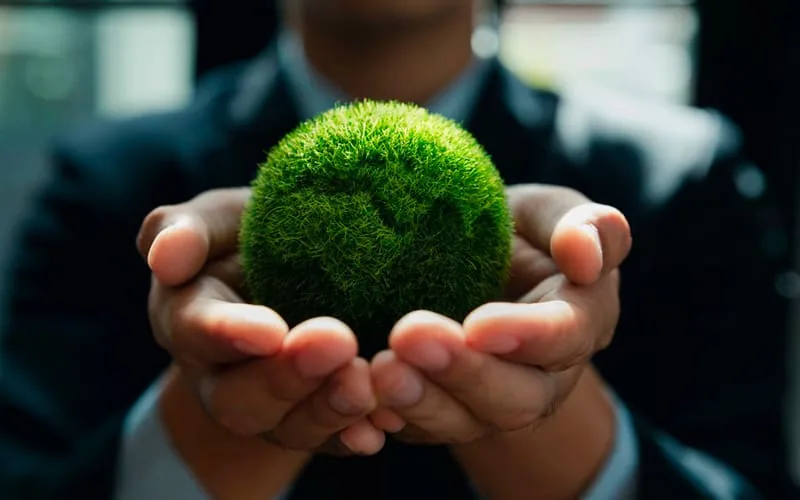 What are Carbon Credits? Learn how they work and why they matter